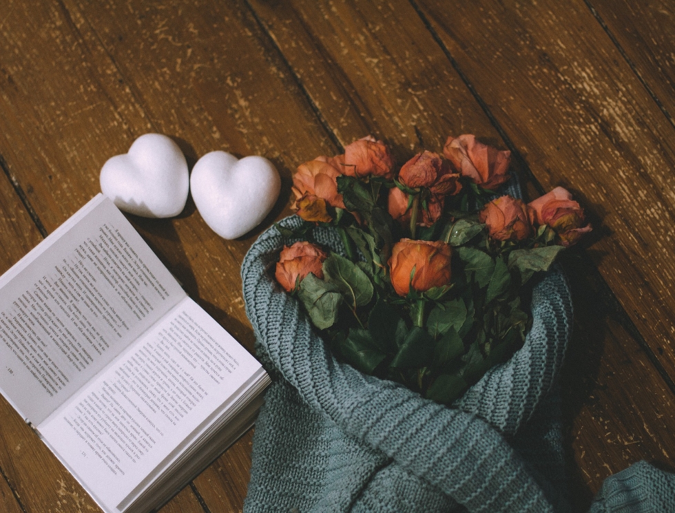 Hidden Bookshelf 12: The Book Lovers’ Guide to Valentine’s Day Reading